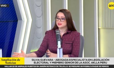 Partido Obras se quedaría sin inscripción ante el ROP y sin fondos de la ONPE, advierte especialista: ¿qué pasó?