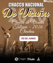 TOLCONI SE PREPARA PARA EL PRIMER CHACCU NACIONAL DE VICUÑA 2026