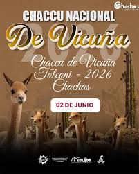 TOLCONI SE PREPARA PARA EL PRIMER CHACCU NACIONAL DE VICUÑA 2026